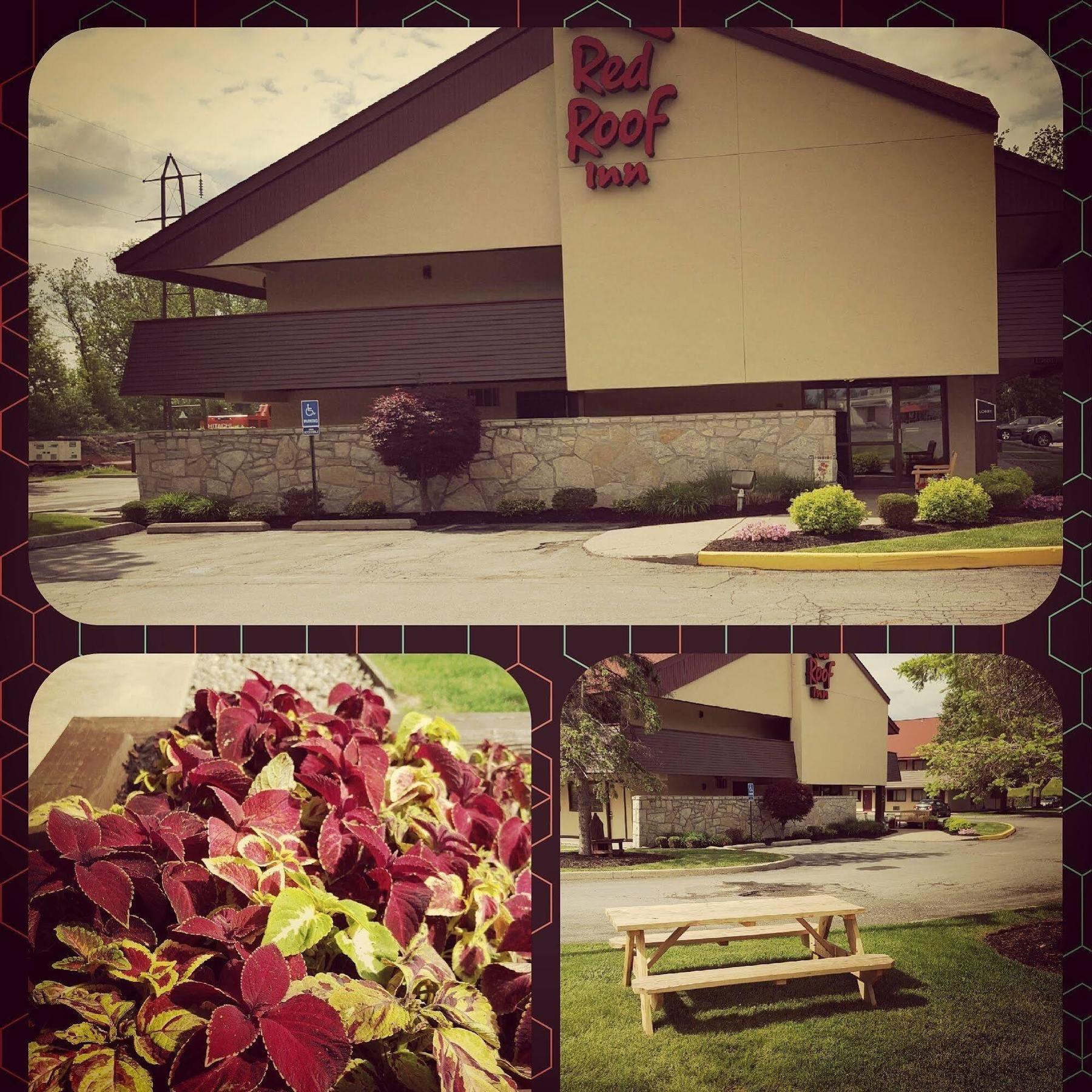 Motel Red Roof Utica